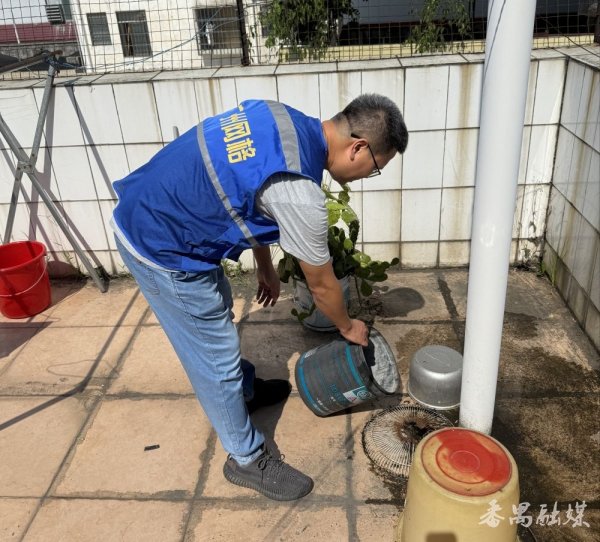 配查查配资 处置蚊虫孳生地284处！ 番禺区大石街持续推进登革热和基孔肯雅热防控工作
